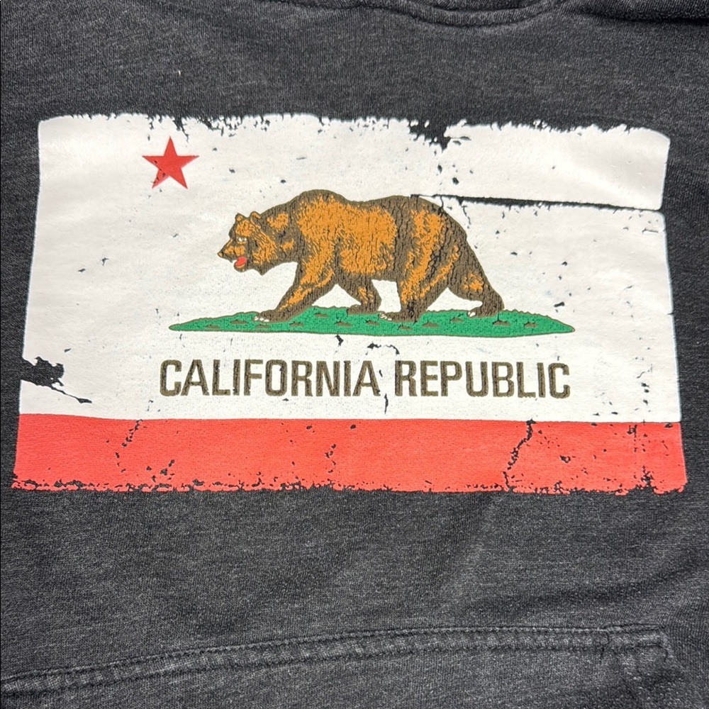 Lanza Gray California Republic Hoodie - Picture 4 of 4
